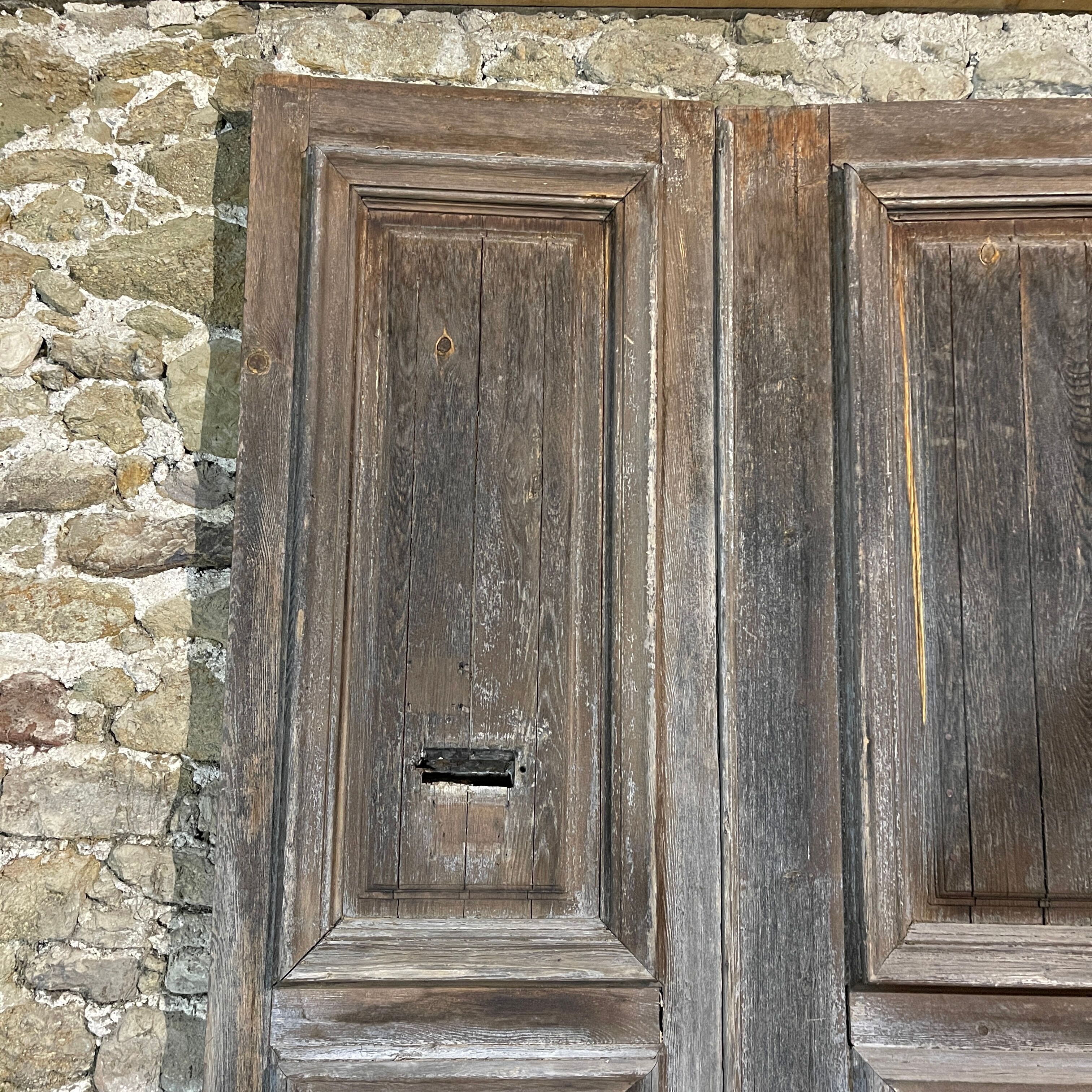 Double old oak door