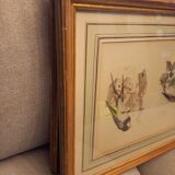Lot 2 aquarelles oiseaux anciennes