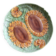 Large sunflower slip dish