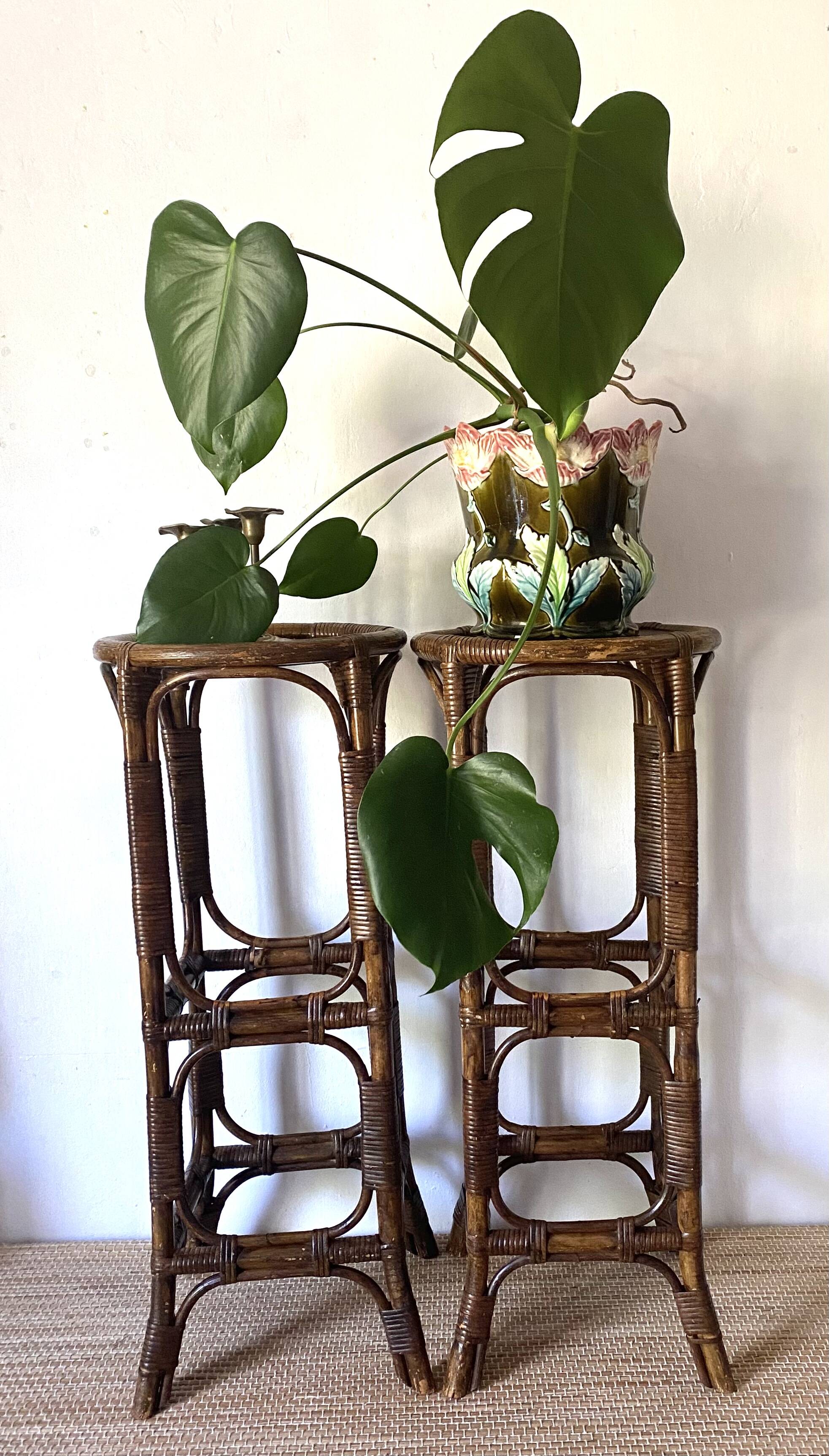 Vintage rattan bar stools or plant holder