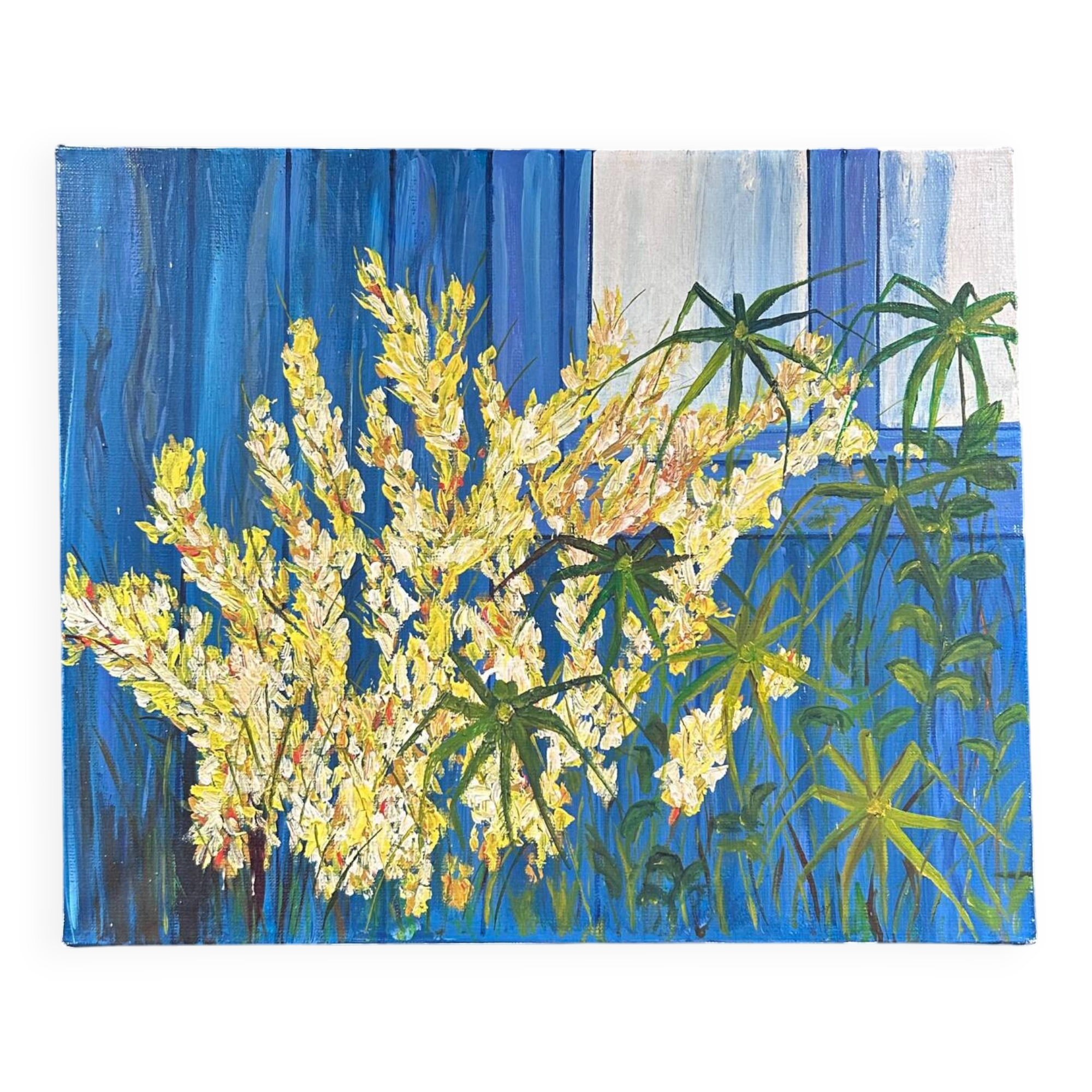 Mimosa and papyrus painting