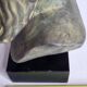 Bust of Poseidon in patinated plaster on wooden base
