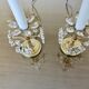 Pair of flower lamps, Hollywood Regency, crystal and gilded brass, 1970