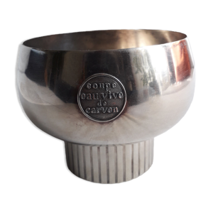 Coupe vintage eau vive de Carven
