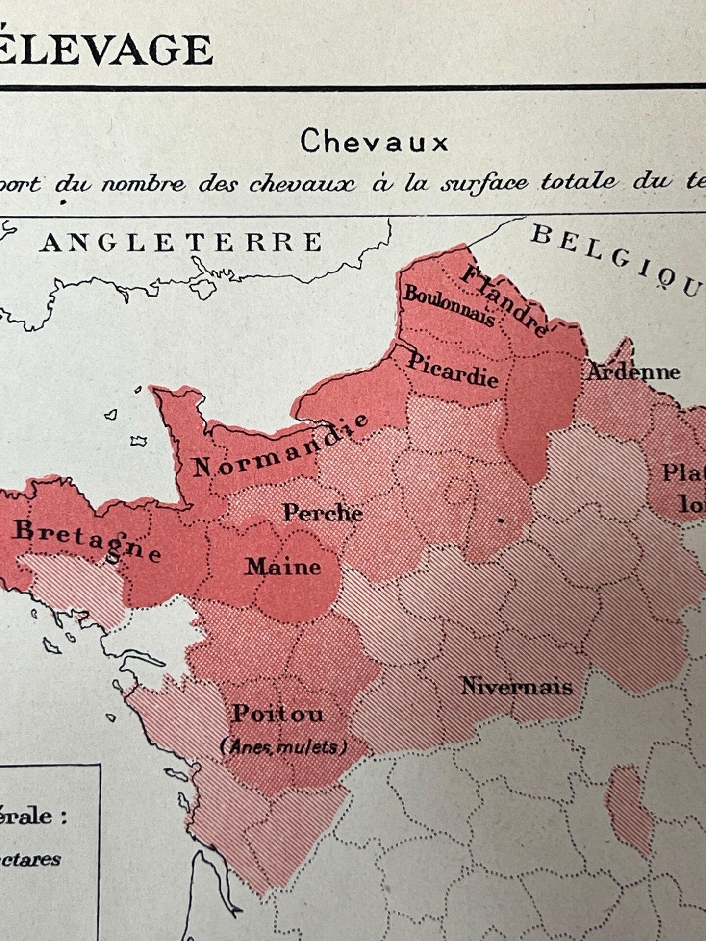 Double map plan France Agriculture Livestock 55.5x37.5cm