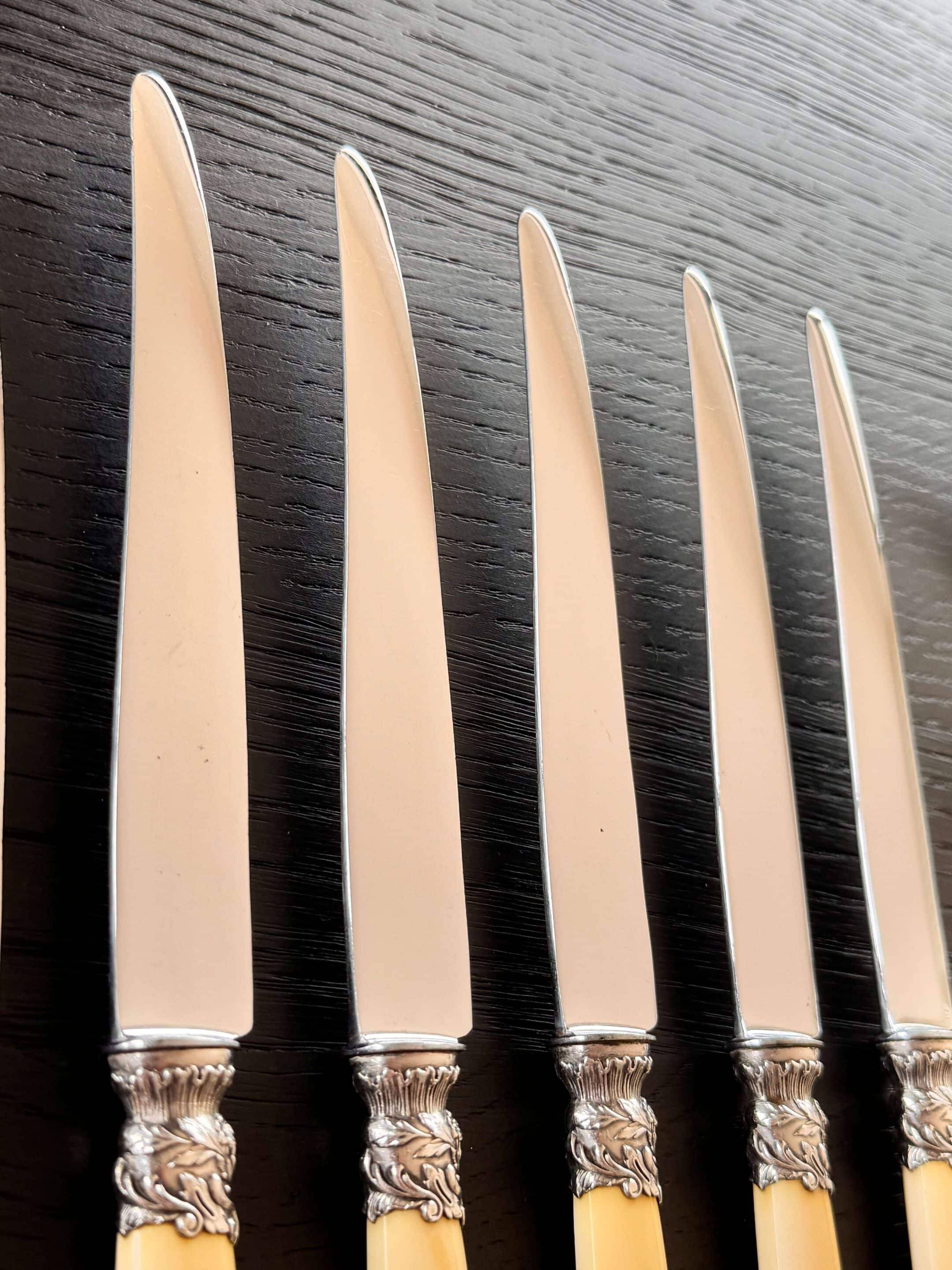 12 Robert Linzeler knives and leg of lamb set for Jules Piault Paris