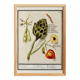Petite affiche sur "artichaut et physalis", d'après une gravure ancienne de