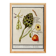Petite affiche sur "artichaut et physalis", d'après une gravure ancienne de