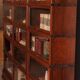 Library Wall of 3 Globe Wernicke Modules in Oak - 19th Century