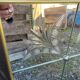 Vintage art deco cut glass bistro venetian mirror