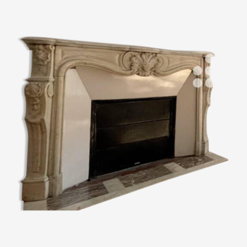 Fireplace carved in gray veined white marble
