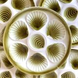 Assiettes à huîtres Moulin des Loups et plat assorti -1970
