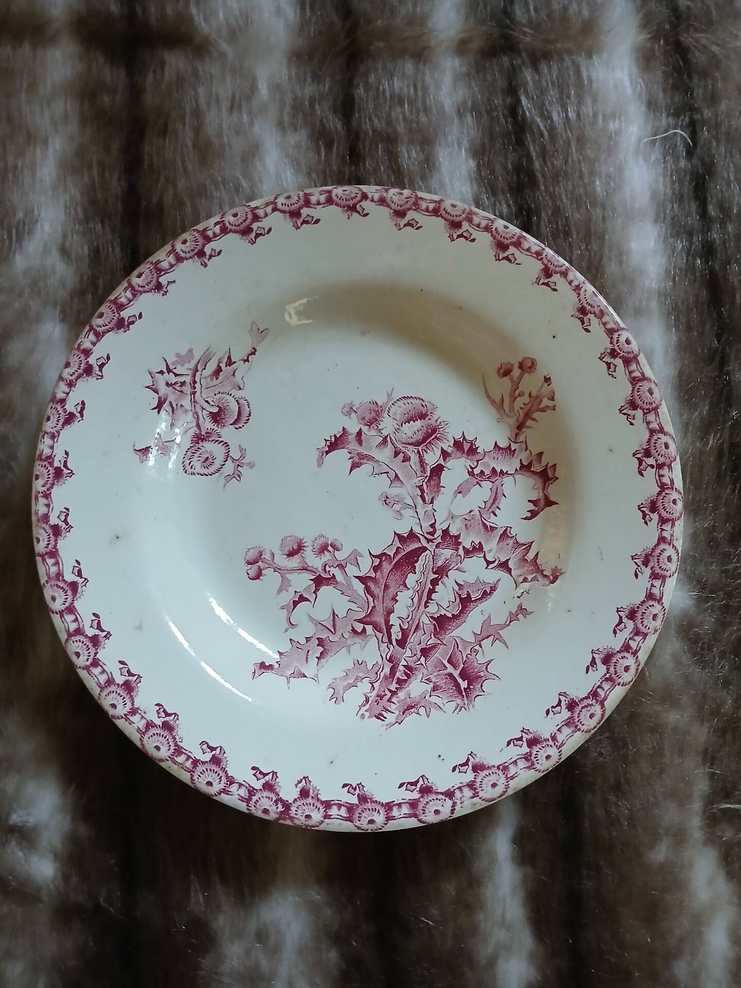 8 antique deep plates in ironstone