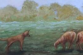 Landscape with sheep