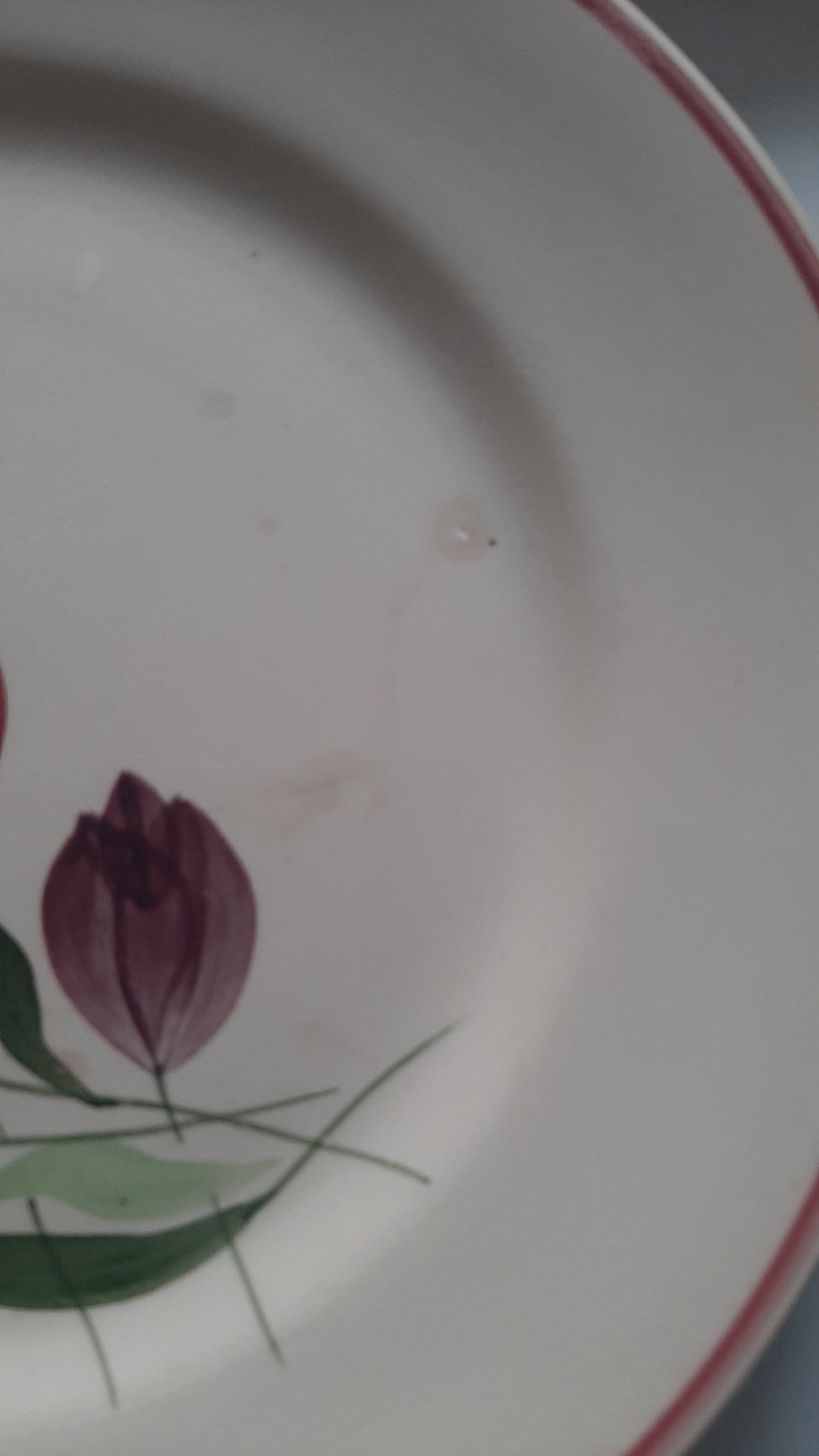 Longchamp earthenware plates