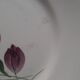 Longchamp earthenware plates
