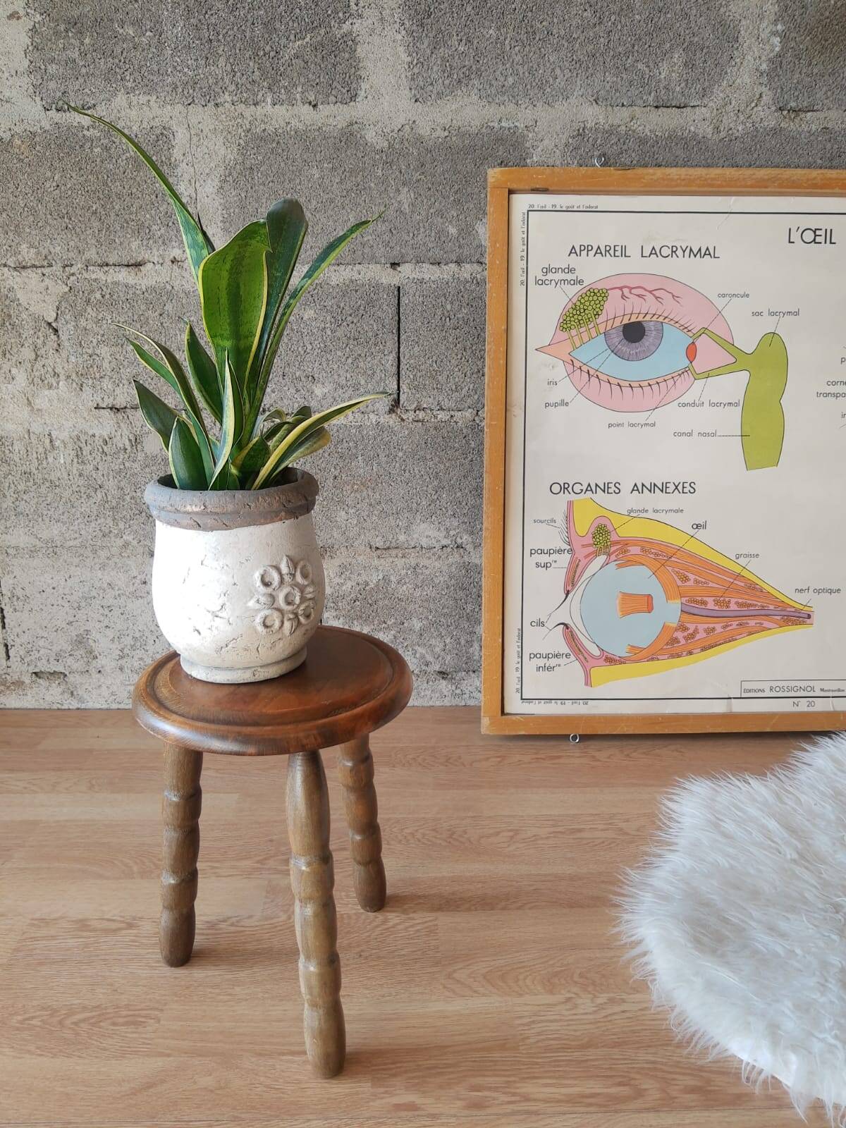 Ancien tabouret de ferme, campagne en bois tripode