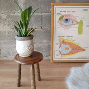 Ancien tabouret de ferme, campagne en bois tripode