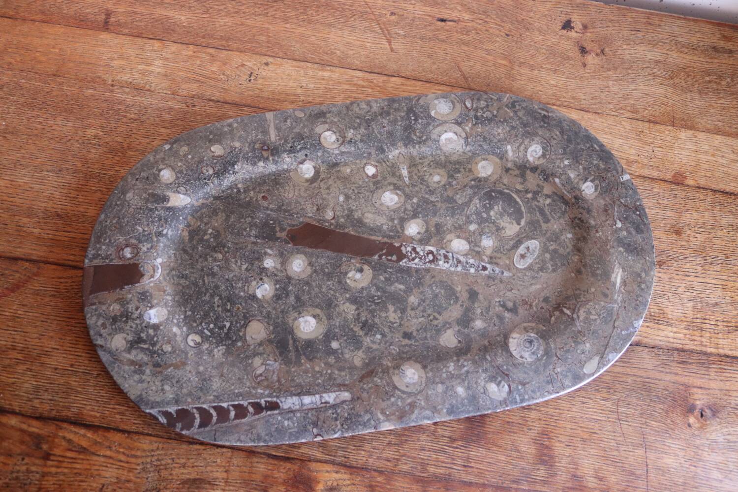 Large fossil stone plateau – ammonites and orthoceras