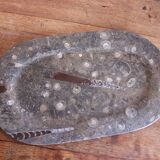 Large fossil stone plateau – ammonites and orthoceras