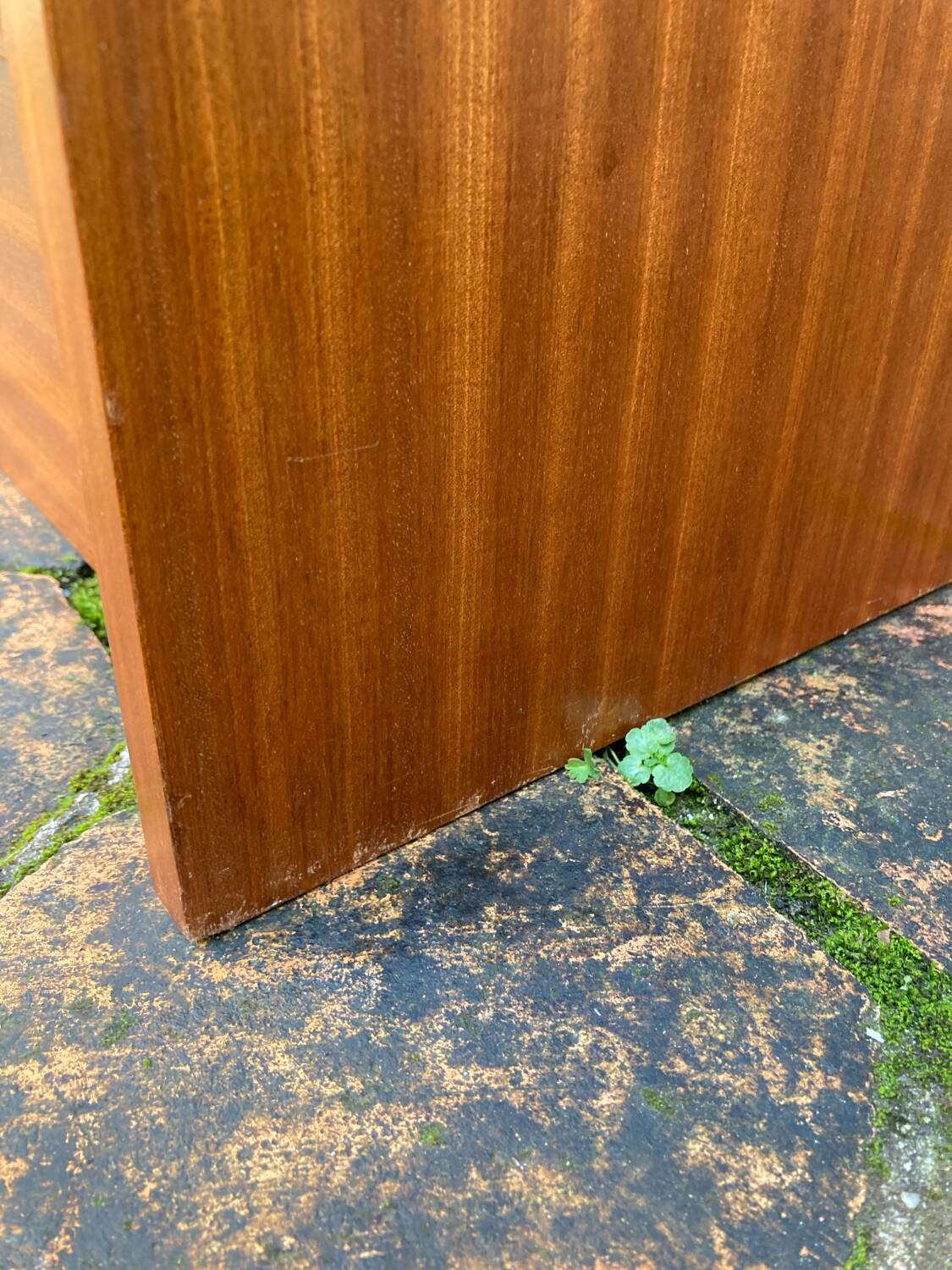 Vintage 1960s display cabinet.