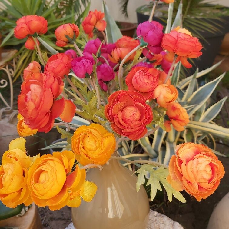 Murano vase in vintage cream brown glass 30 cm