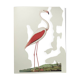 Old board - Pink flamingo - Vintage zoological and ornithological illustration - Bird
