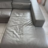 Roche Bobois sofa