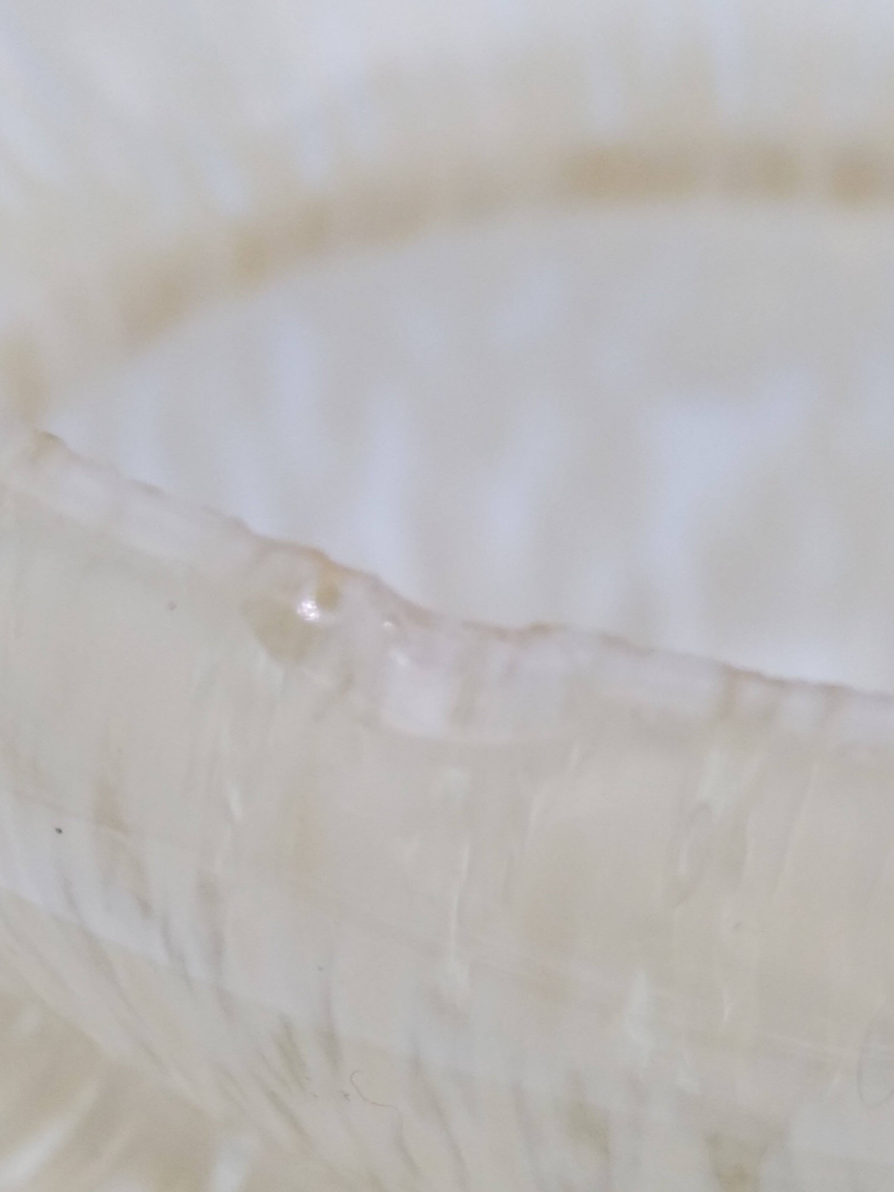 Speckled glass vase. Clichy glass.