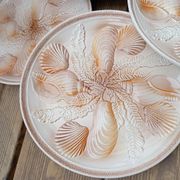 4 shellfish/fish plates 1960 barbotine Les ateliers du Revernay