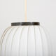 Mid century Danish pendant light