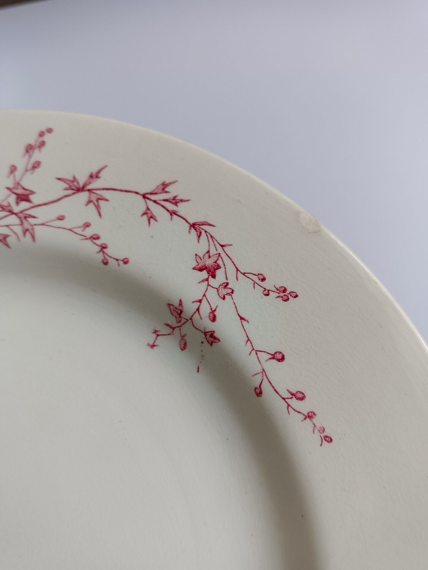 Joinville decorative plate KG Lunéville rose