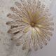 Italian daisy table 60s, 70'S design table Chelini Florence