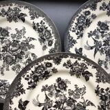 Royal Stafford Dinner Plate Asiatic Pheasant