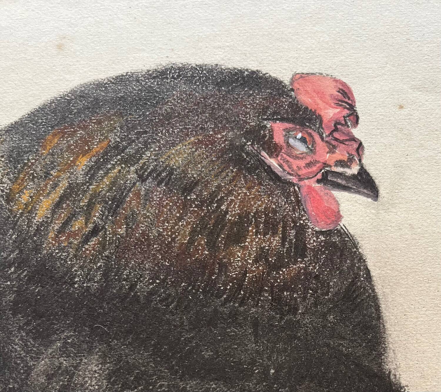 Black hen and her chicks, pastel on paper signed Hélène Rivière