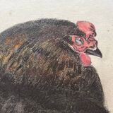 Black hen and her chicks, pastel on paper signed Hélène Rivière