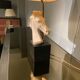Vintage Neo Classic-style lamp in resin and golden lampshade