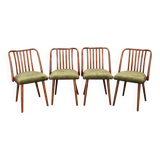 Ensemble de quatre chaises de salle à manger Šuman en hêtre, style milieu du siècle, datant des années 1960, avec revêtement restauré.