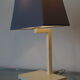 Lamp Phanera france 1970