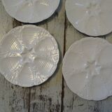6 oyster plates 30123 porcelain white cnp france