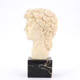 Bust of David by Michelangelo, 1970s