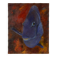 Huile sur toile poisson chirurgien bleu