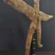 Giant starfish thromidia catalai on pedestal
