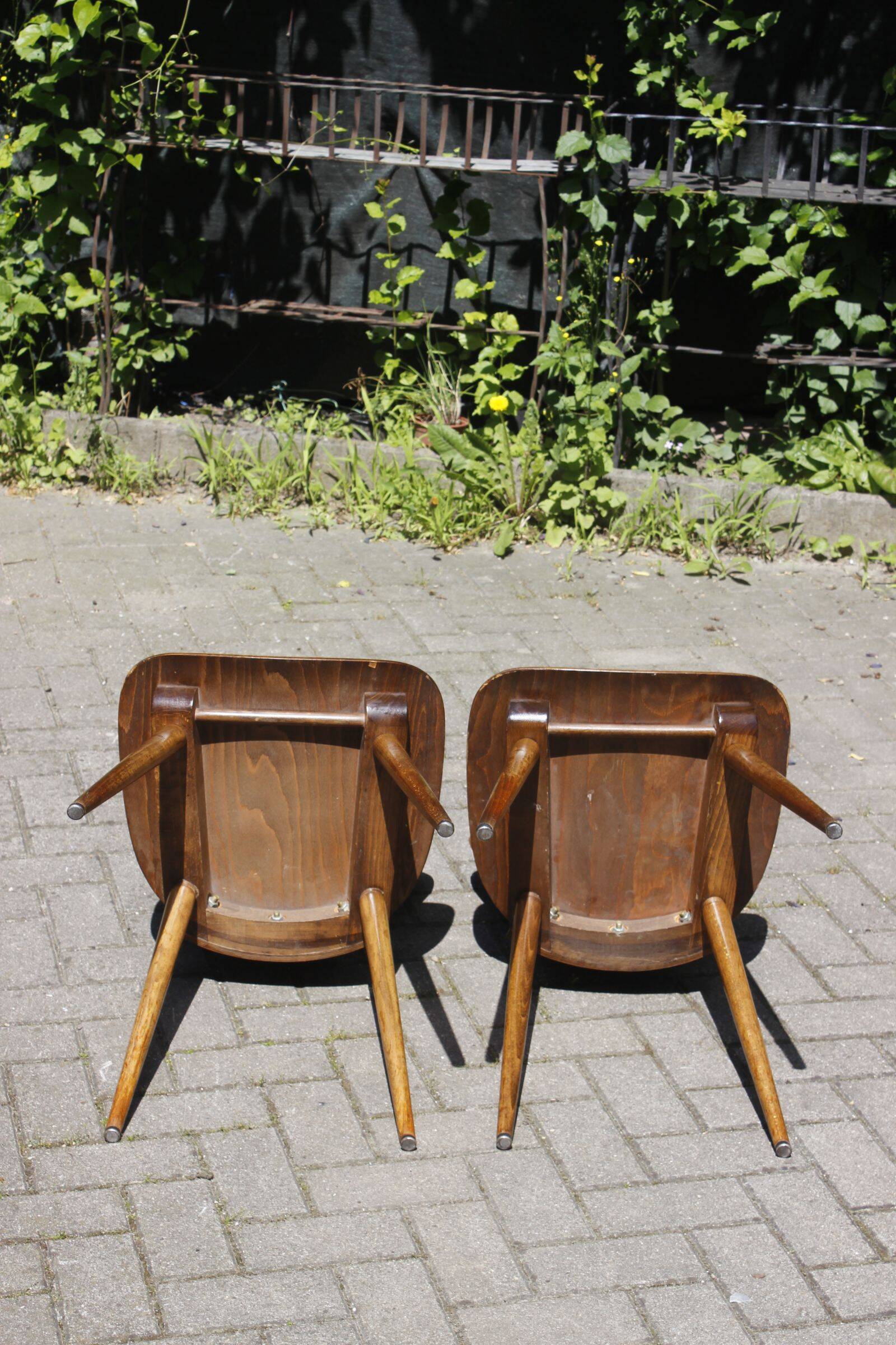 Pair of "Fourmi" bistro chairs Baumann France 1960s