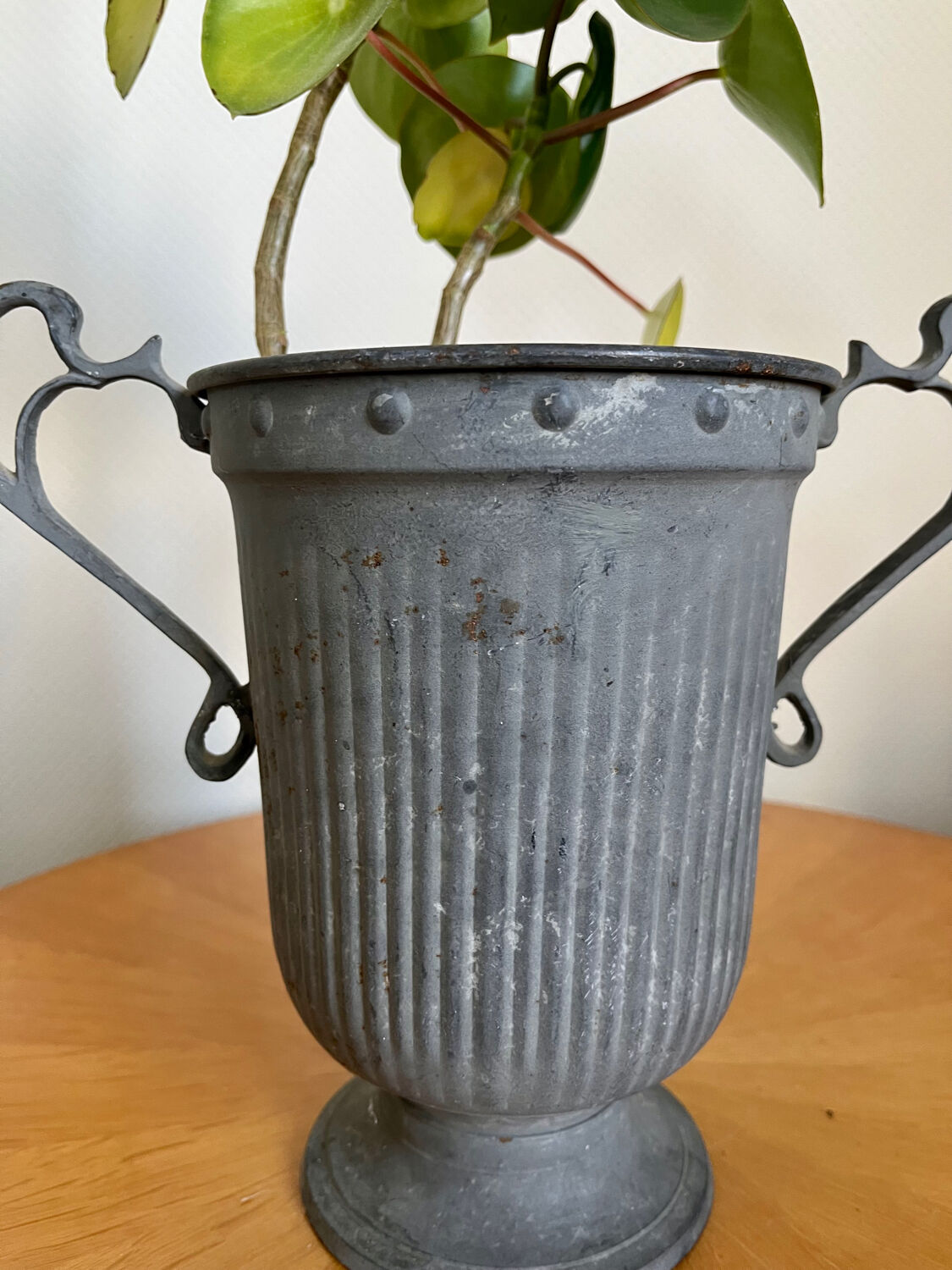 Medici vase in ancient patinated iron