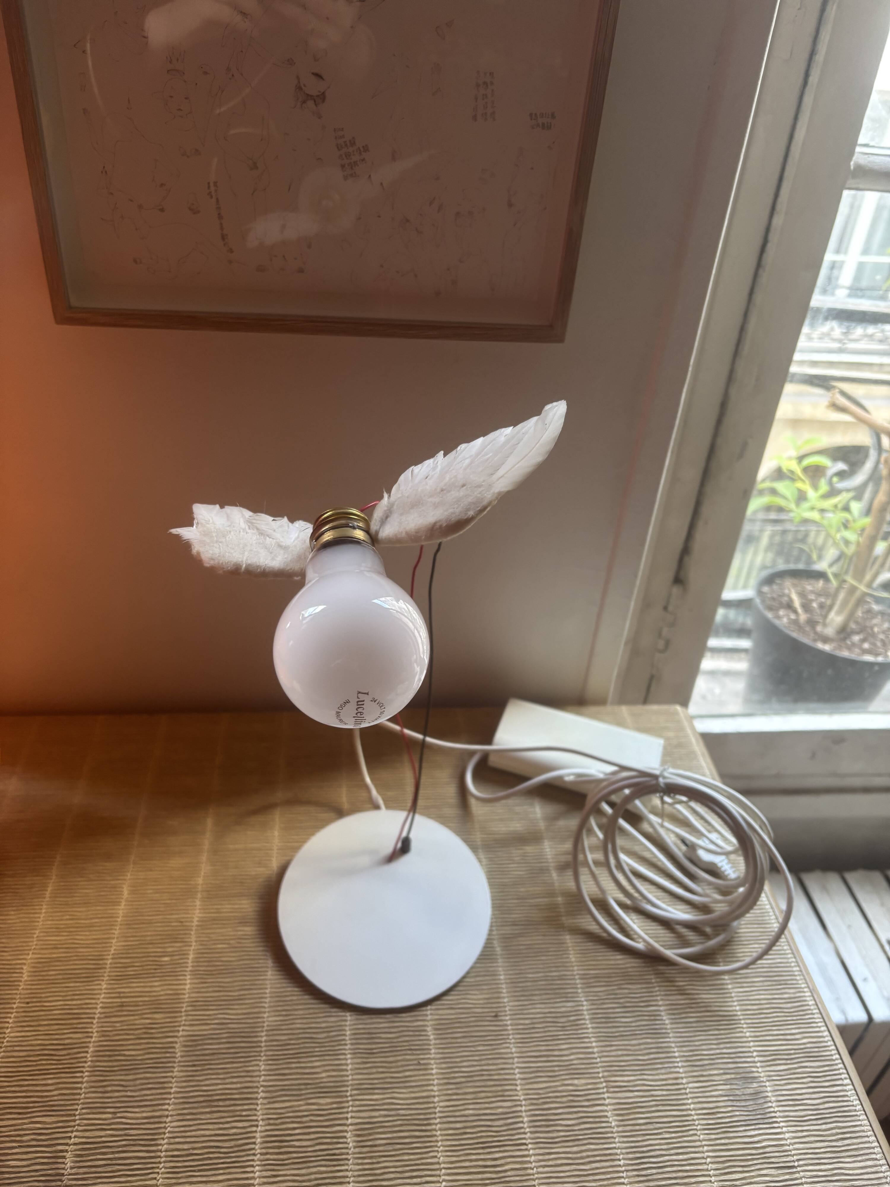 Ingo maurer Lucellino table lamp