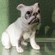 Chien, bouledogue, en terre cuite de Bavent