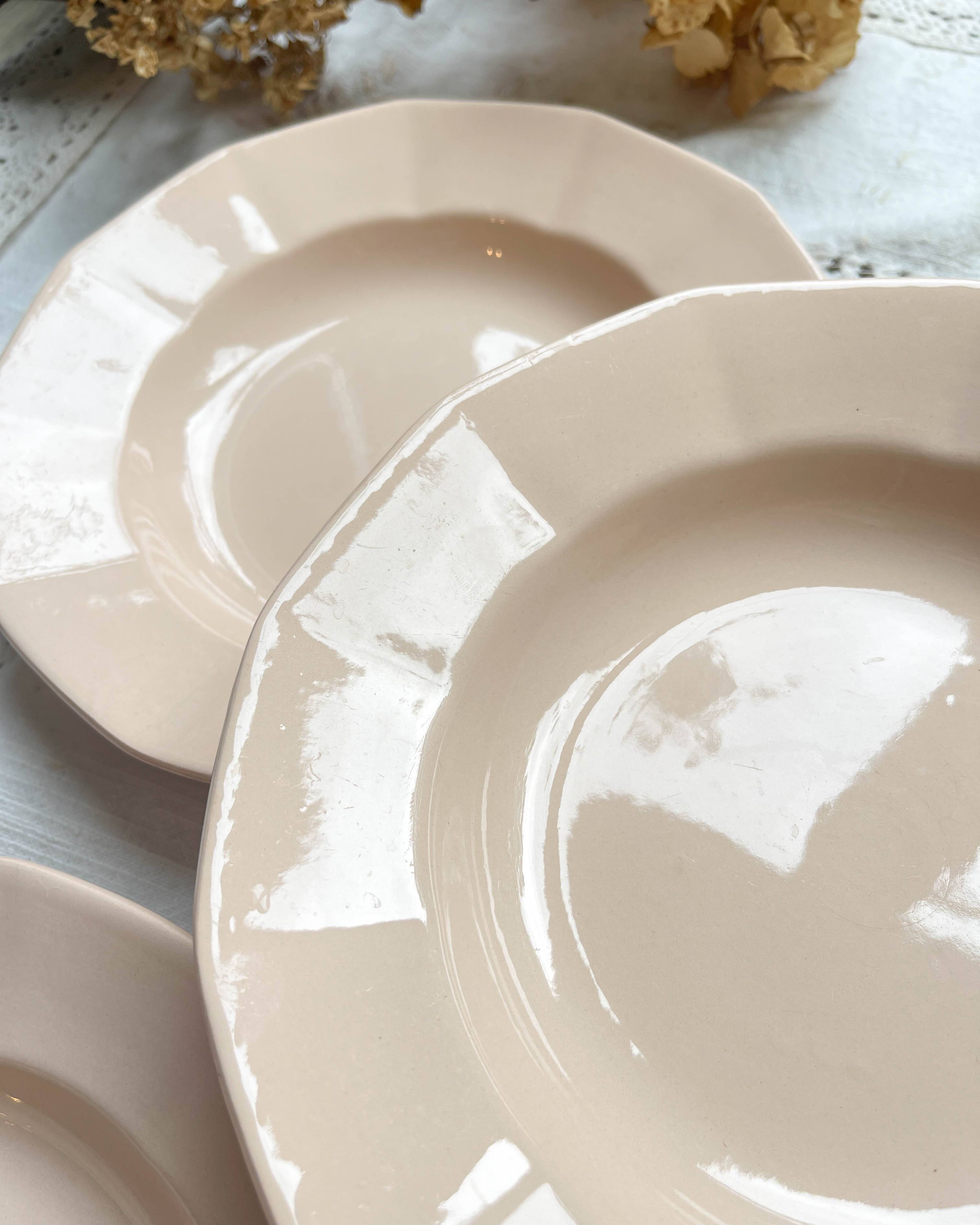 5 Vintage Rose Porcelain Soup Plates Digoin Sarreguemines