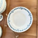 2 plats porcelaine de longchamp