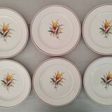 Old Earthenware Dinner Plates KG Lunéville Vintage Tulip Decor